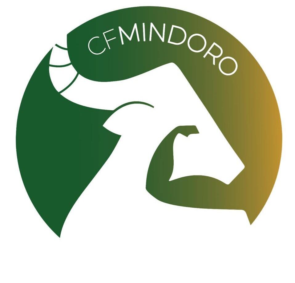 All Listings cf gym
